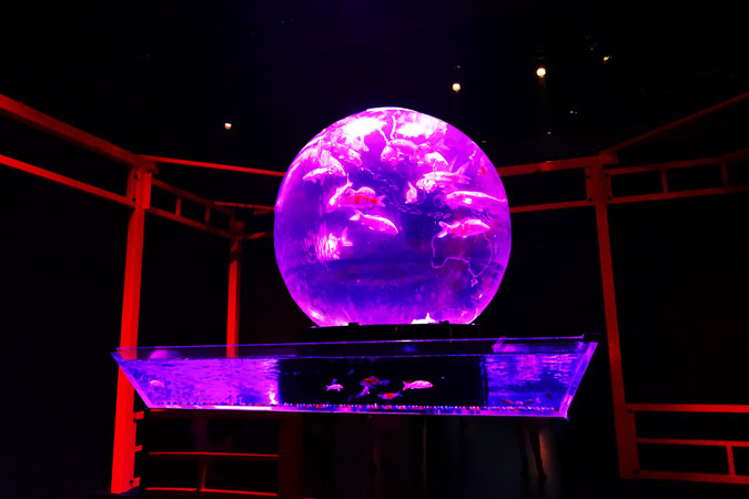 a0263109_12395256.jpg