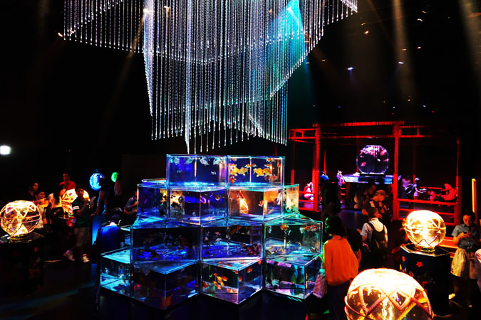 a0263109_1240041.jpg