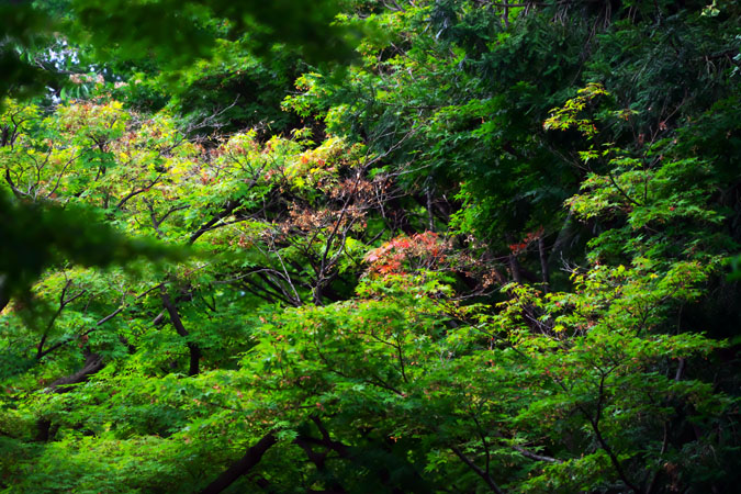 a0263109_2148507.jpg