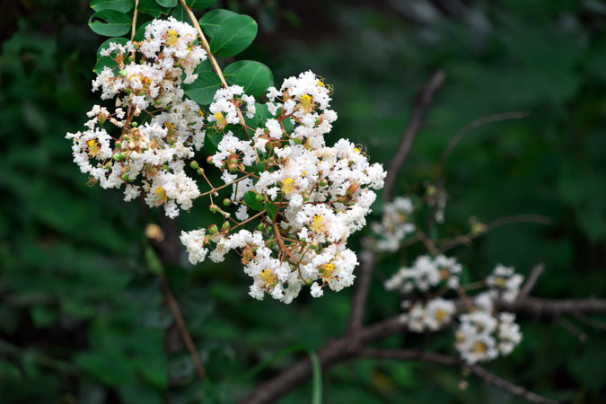 a0263109_2223747.jpg
