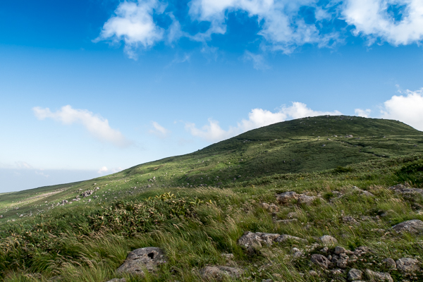 b0244811_23155158.jpg