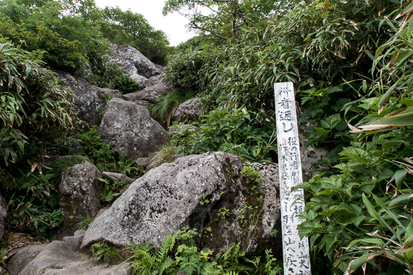 b0244811_2329317.jpg