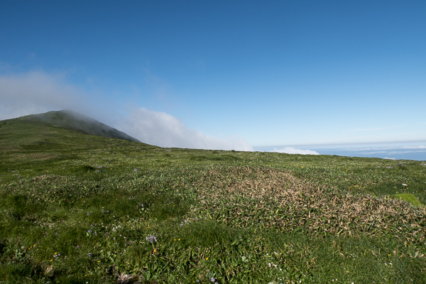 b0244811_23321858.jpg