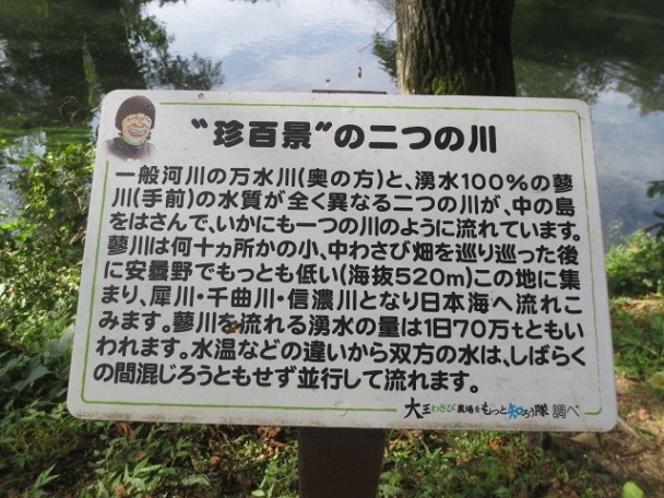 f0248616_09050210.jpg