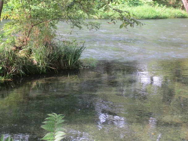 f0248616_09053271.jpg