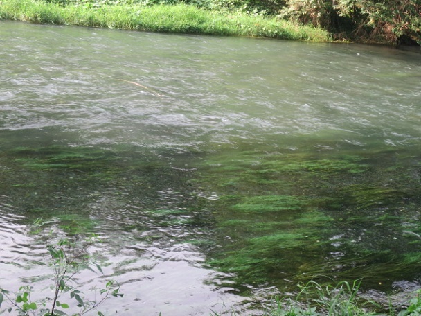 f0248616_09060571.jpg