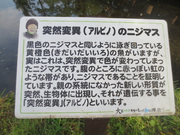 f0248616_09065697.jpg
