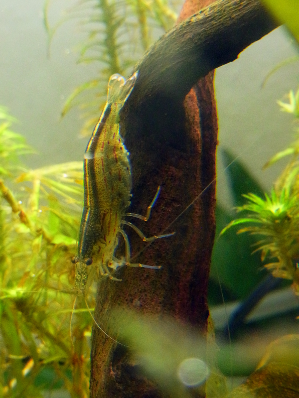 e0083517_04375680.jpg