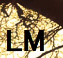 e0156318_1852110.jpg