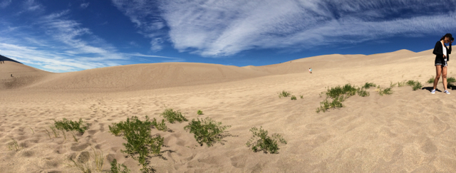 c0150224_13232440.jpg