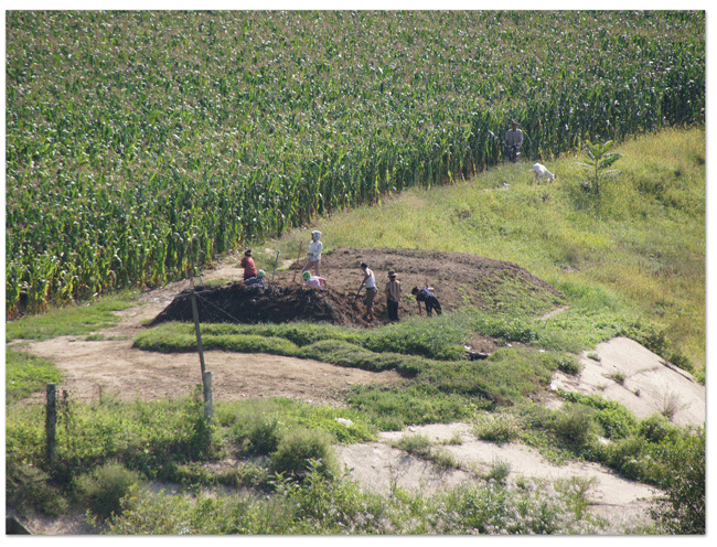 d0210324_8413222.gif