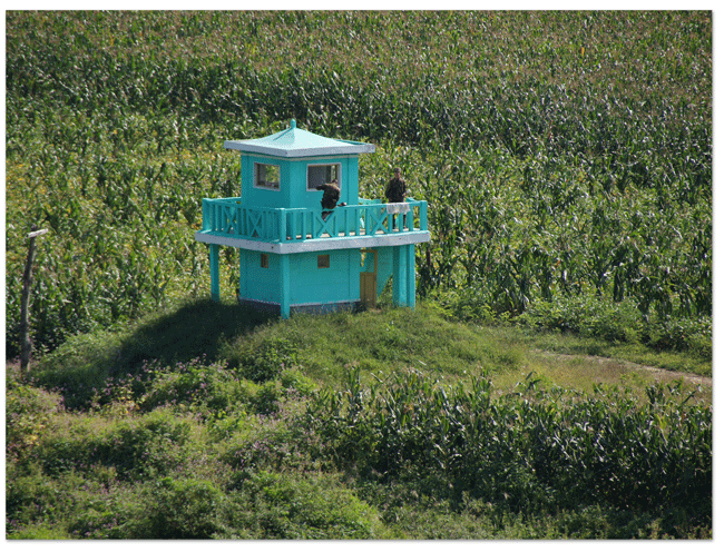 d0210324_8414029.gif