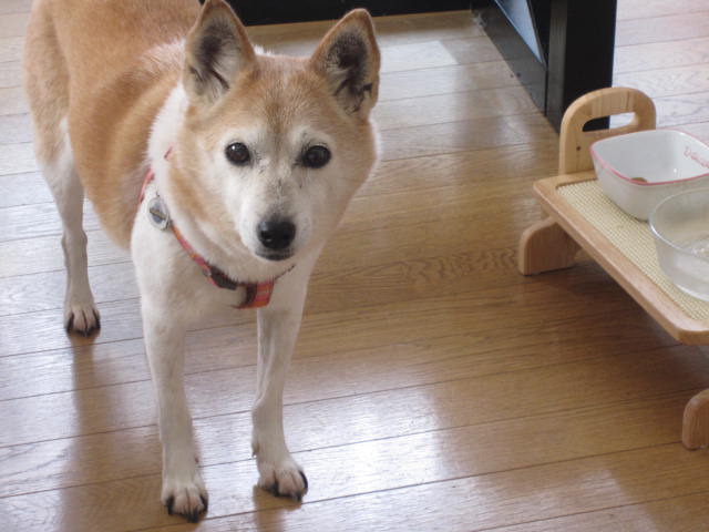 e0191826_22243719.jpg