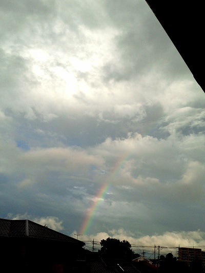 a0024829_1726731.jpg