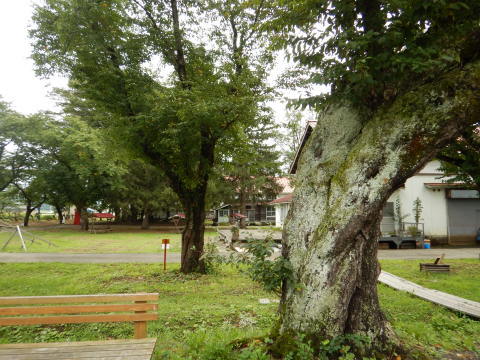 f0118332_00360748.jpg
