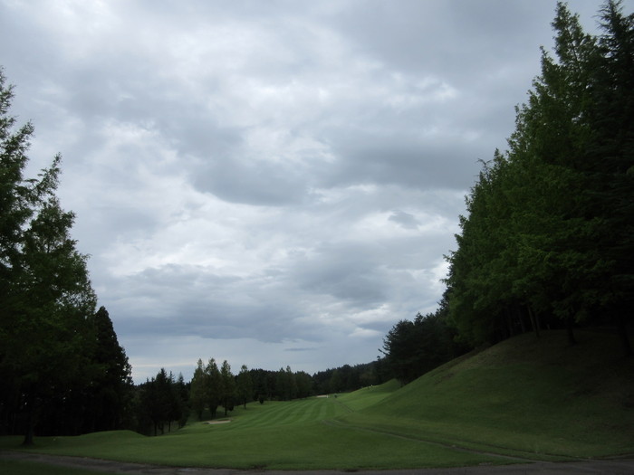 c0117936_21512538.jpg