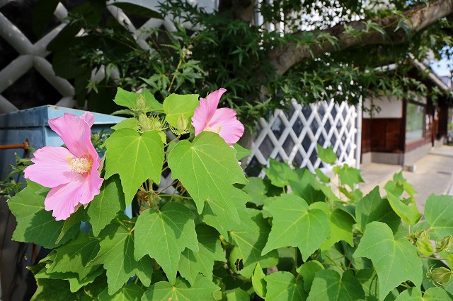a0242438_1810136.jpg