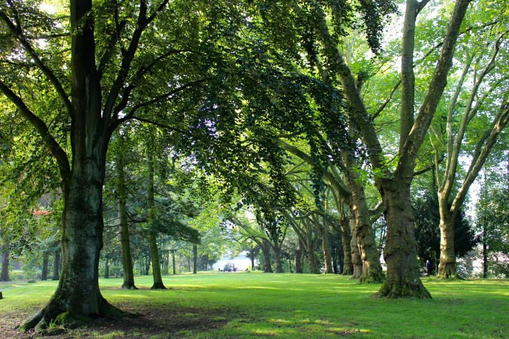 c0153740_20481230.jpg