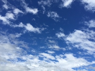 a0272241_16262895.jpg