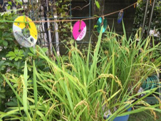 a0081957_13204457.jpg