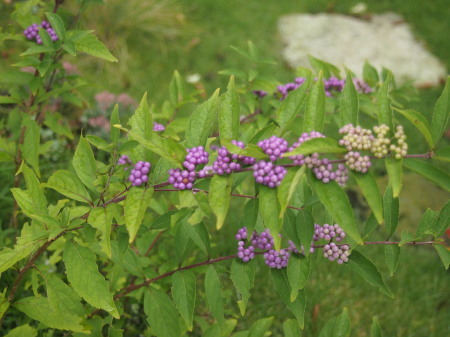 b0246758_20484285.jpg