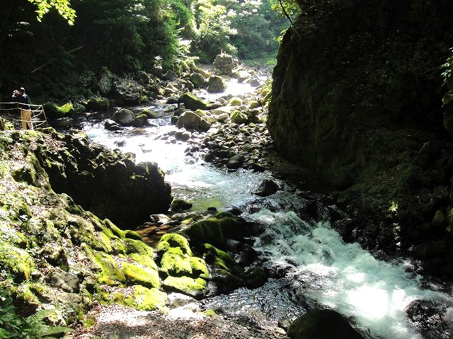 c0119160_2122145.jpg