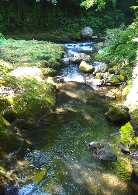 c0119160_21304034.jpg