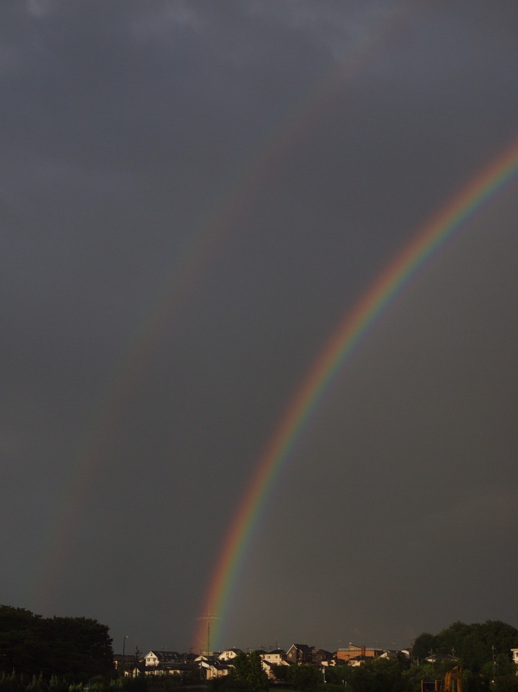 a0073065_2171397.jpg