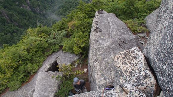b0050067_15503.jpg