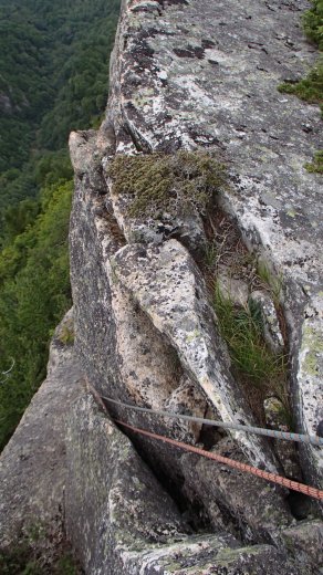 b0050067_16208.jpg