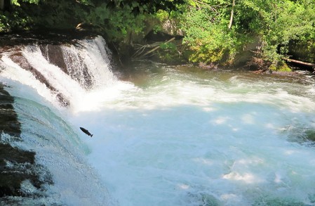 e0081170_4365457.jpg