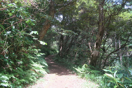 e0292172_1724792.jpg