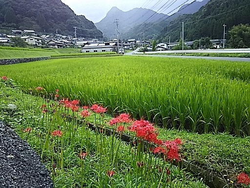 a0232573_21553746.jpg