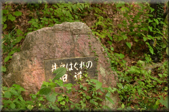 e0099375_11532628.jpg