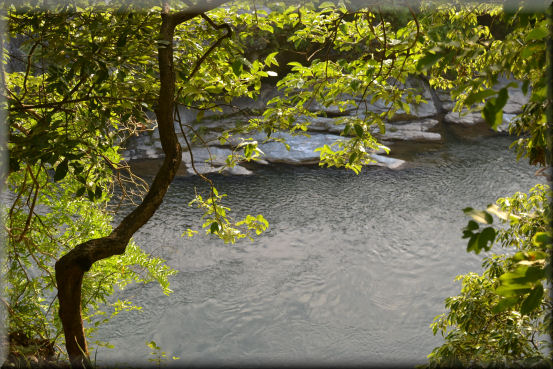 e0099375_11563760.jpg