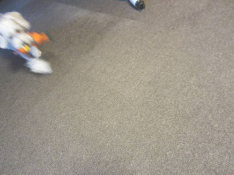 d0264176_19211970.jpg