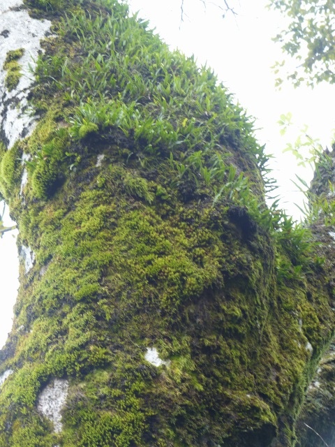 f0357487_018792.jpg