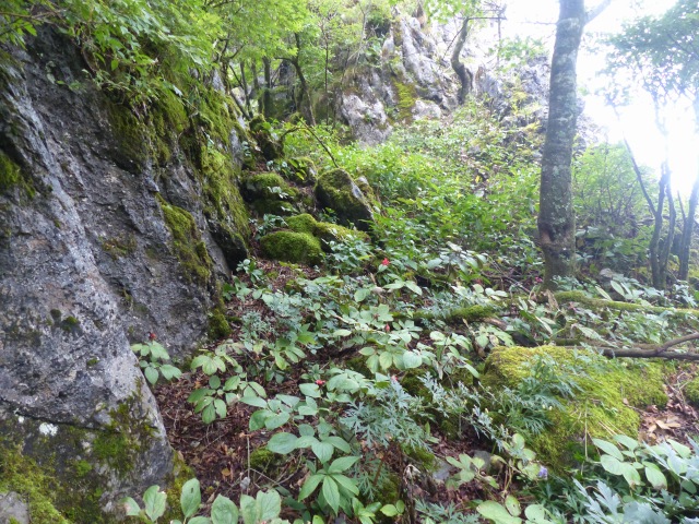 f0357487_2252617.jpg
