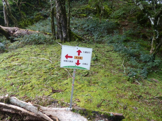 f0357487_22595881.jpg