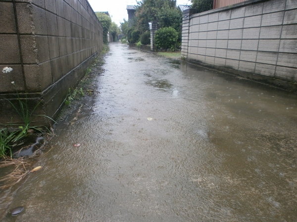 d0000995_1885112.jpg
