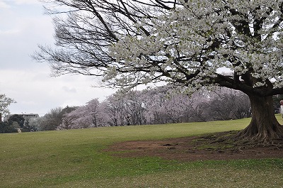 e0158895_2019150.jpg
