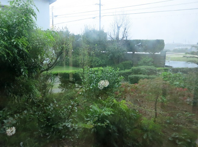 c0119197_11054036.jpg
