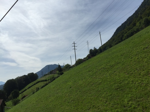 f0108399_1183317.jpg