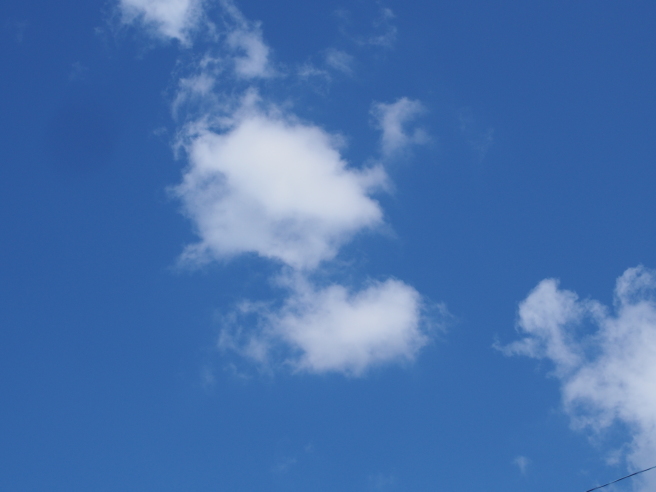 c0220700_13372871.jpg