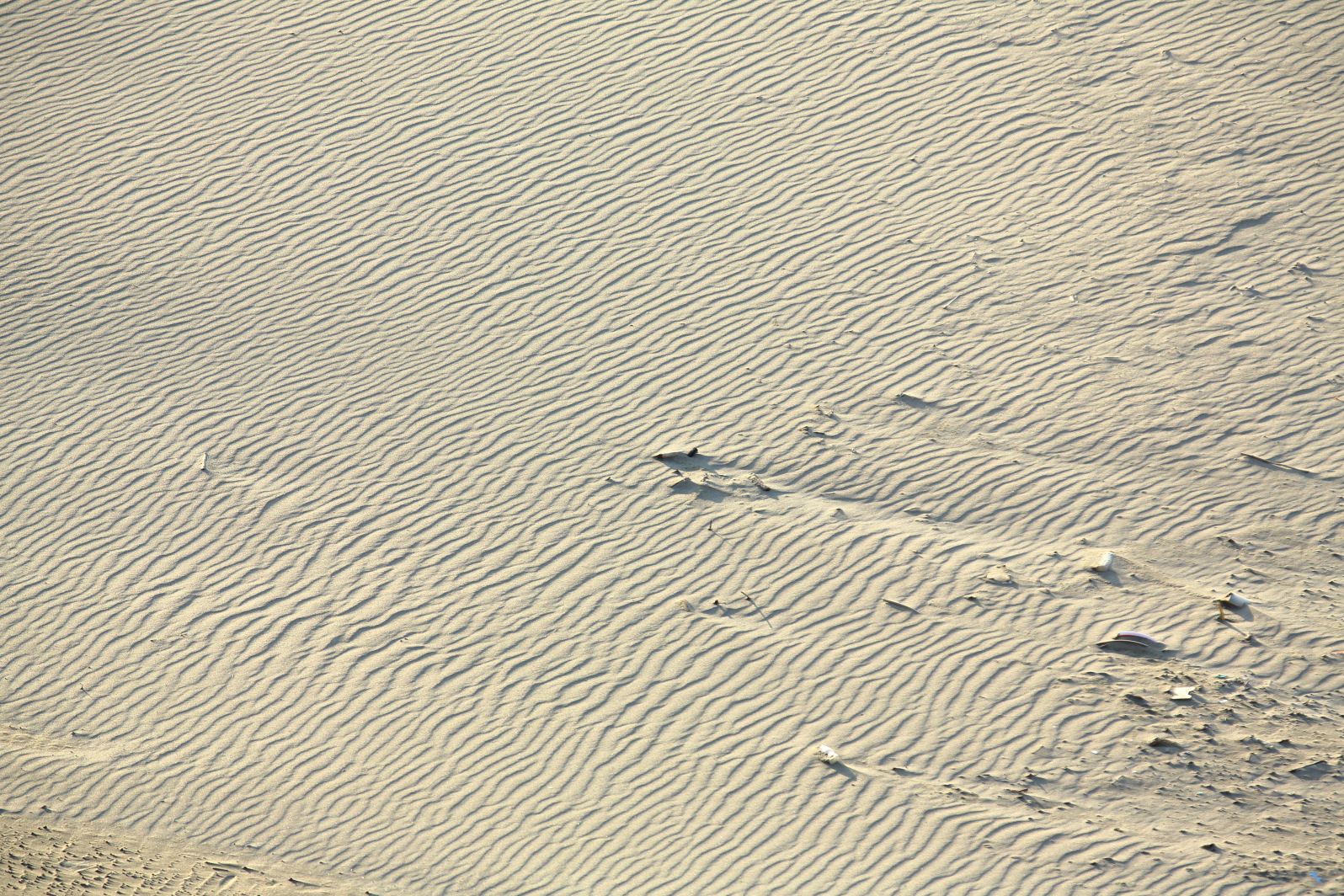 a0155104_1403720.jpg