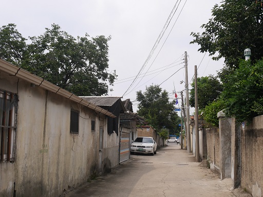 a0140305_3202826.jpg