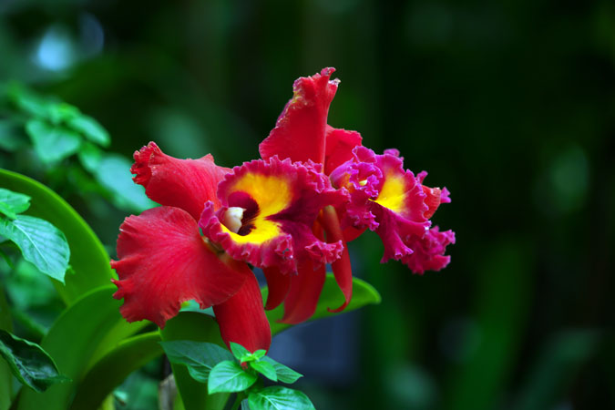 a0263109_125656100.jpg