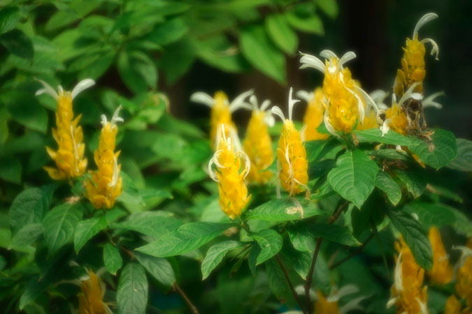 a0263109_1335475.jpg