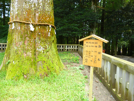 f0008510_1214169.png