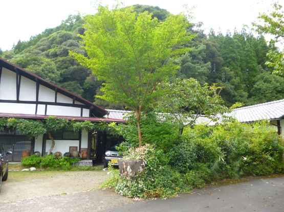 f0008510_12151790.png